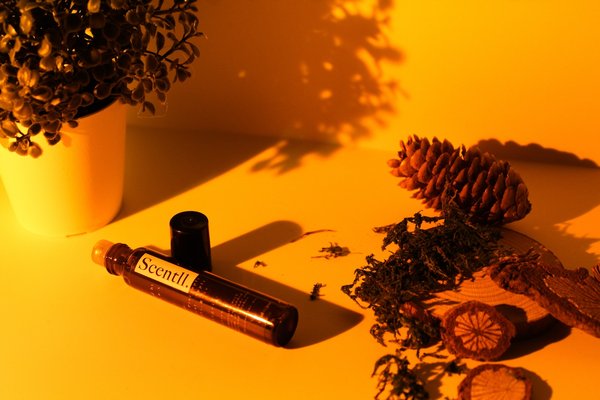 Quelle huile naturelle pour le bois ?